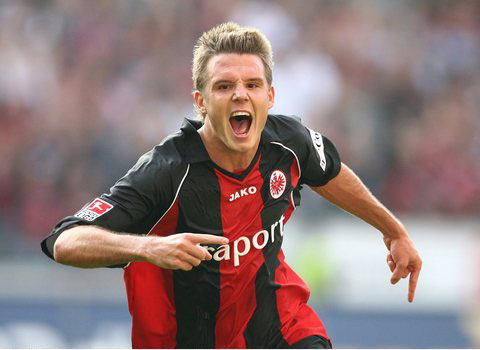 僅展現了各 僅展現了各