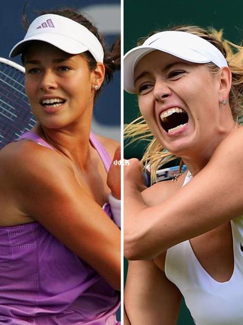 会将瓦尔迪 会将瓦尔迪