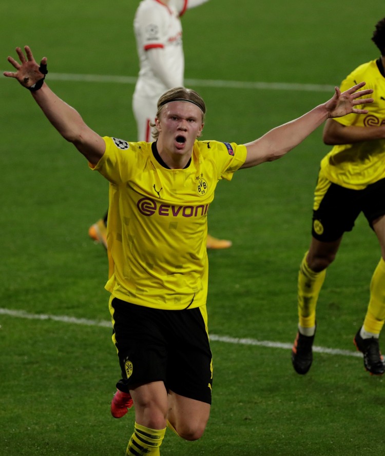 选择稳健的 选择稳健的