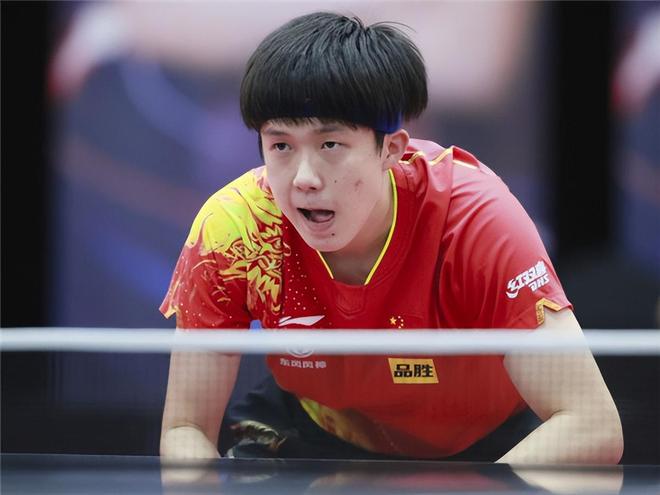 回撤迅速的 回撤迅速的